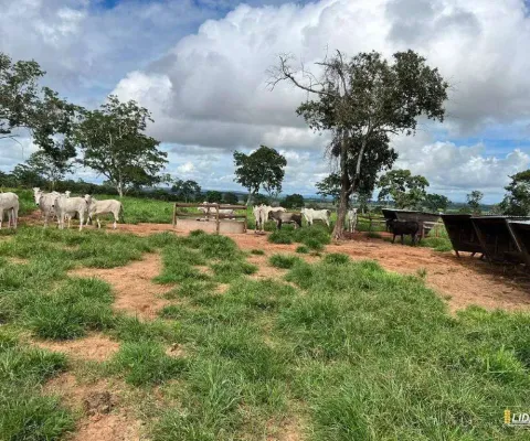 Fazenda à venda, area rural de torixoreu-mt - torixoréu/mt