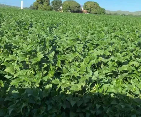 Fazenda à venda, area rural de nova xavantina - mt - nova xavantina/mt