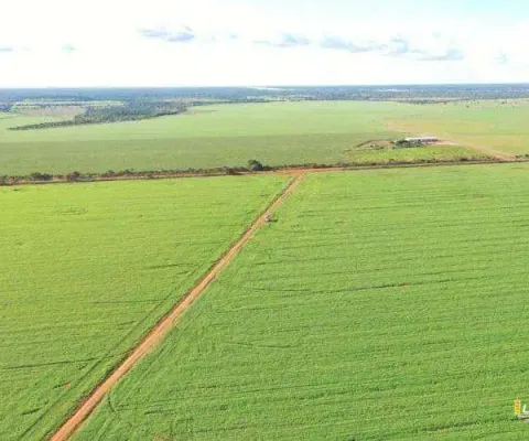 Fazenda à venda, area rural de sao felix do araguaia - mt - são félix do araguaia/mt