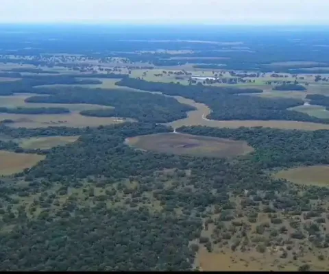 Fazenda à venda, area rural da aquidauana-ms - aquidauana/ms