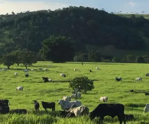 Fazenda à venda, área rural de brasilia - brasilia/df