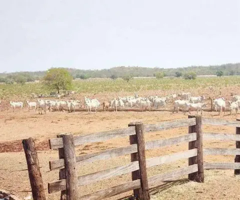 Fazenda à venda, area rural cocalinho - mt - cocalinho/mt