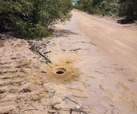 Fazenda à venda, area rural de bom jesus-pi - bom jesus/pi