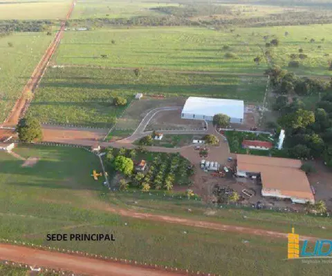 Fazenda à venda, area rural de agua boa - mt - água boa/mt