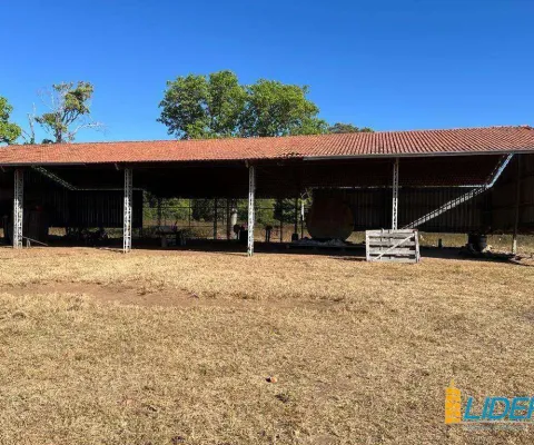 Fazenda à venda, area rural cocalinho - mt - cocalinho/mt