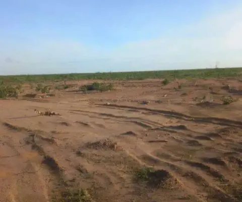 Fazenda à venda, area rural de alvorada do gurguéia - pi - alvorada do gurguéia/pi