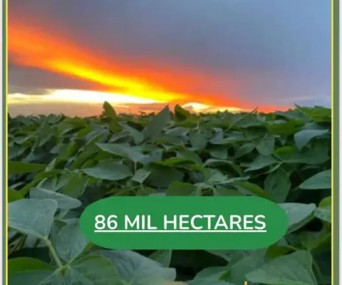 Espetacular fazenda dupla aptidão com 86.627 hectares e muito bem estruturada à venda no nordeste do estado de mato grosso