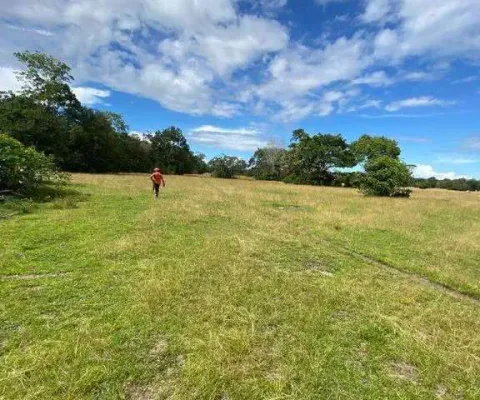 Excelente fazenda dupla aptidão com 3.300 hectares e boas estruturas à venda em santarém - pa