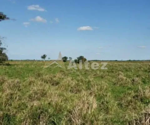 Fazenda inteiramente plana, 91,8 alq (444,4 ha), campos dos goytacazes, rj