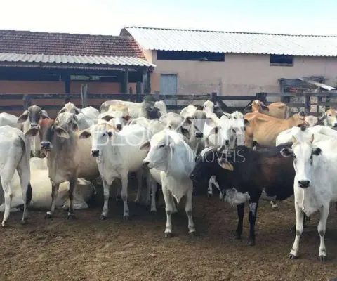 Terreno à venda na Estrada municipal, --, Centro, Araruama