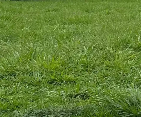 Terreno em condomínio de 504 m² à venda no condomínio alphaville i, zona sul de ribeirão preto