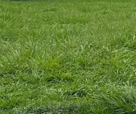 Terreno em condomínio fechado à venda na Avenida Luiz Eduardo Toledo Prado, Terreno, --, Vila do Golf, Ribeirão Preto