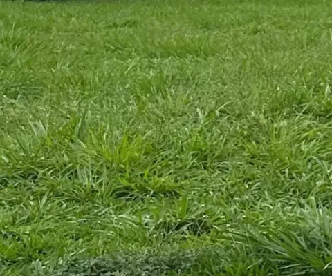 Terreno em condomínio à venda no condomínio alphaville i, 495 m², alphaville zona sul de ribeirão preto