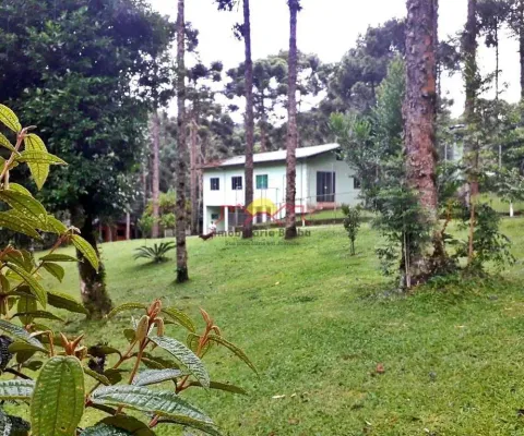 Chácara / sítio com 2 quartos à venda no Rio Vermelho, Campo Alegre 