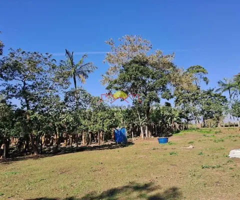 Terreno à venda na Zona Rural, Araquari 