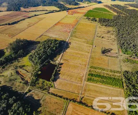 Terreno à venda na Rua Quinze de Novembro, 14588, Vila Nova, Joinville
