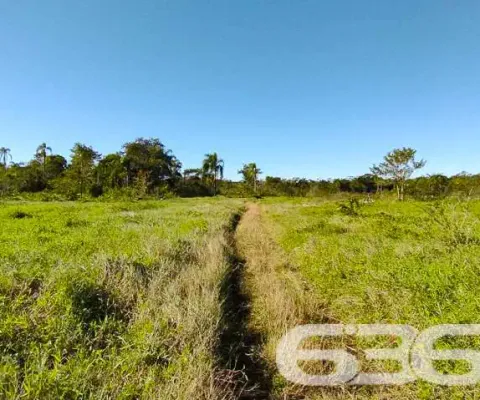 Terreno à venda na Rua Quinze de Novembro, 504, Vila Nova, Joinville