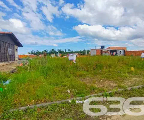 Terreno à venda na Rua Maria Ambrosina Tavares Eccel, 143, Colégio Agrícola, Araquari