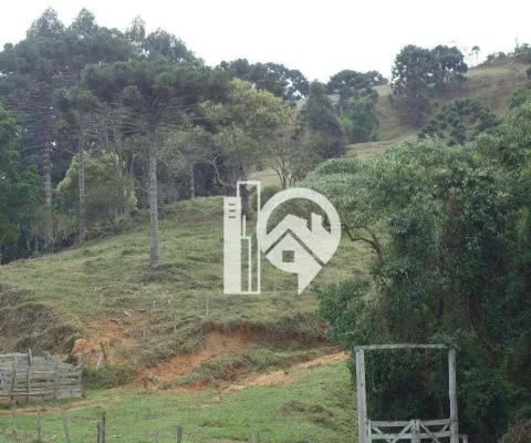 Terreno à venda no Centro, Gonçalves 