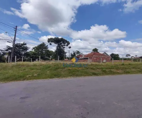 Terreno à venda, 634 m² por r$ 229.000,00 - roseira - são josé dos pinhais/pr