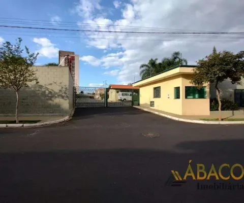 Casa com 4 quartos para alugar no Jardim Hikare, São Carlos 