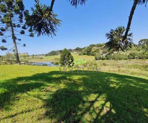 Terreno à venda, 21250 m² por r$ 1.100.000,00 - borda do campo - piraquara/pr