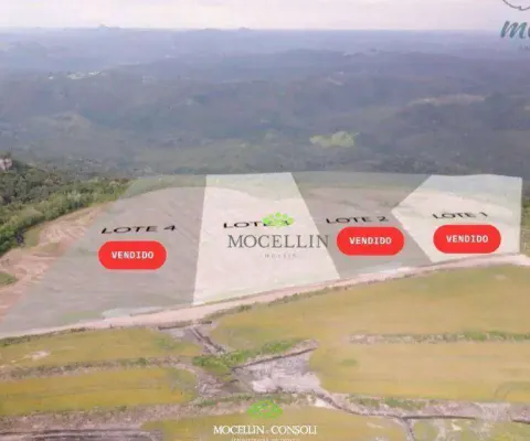 Terreno à venda em São Luiz do Purunã, Balsa Nova 