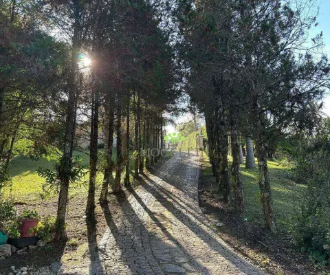 Chácara com 4 dormitórios à venda, 32000 m² por r$ 2.600.000,00 - jardim santa nely - campo largo/pr