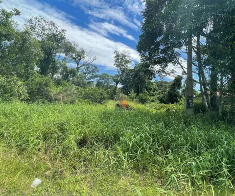 Terreno à venda, 384 m² por r$ 150.000,00 - praia das palmeiras - itapoá/sc