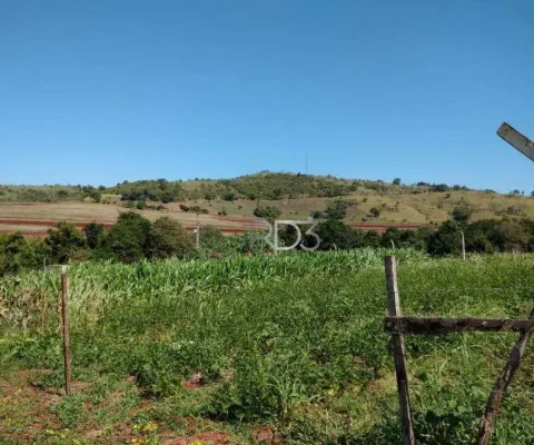 Chácara à venda, 1000 m² por r$ 160.000 - três bocas - londrina/pr