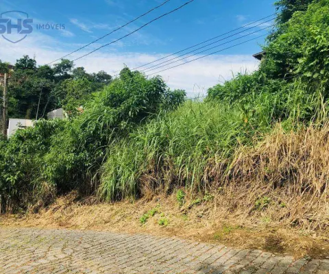 Terreno à venda, 450 m² por r$ 219.000,00 - asilo - blumenau/sc