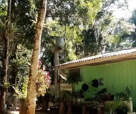 Chácara / sítio com 2 quartos à venda na Zona Rural, Morretes 
