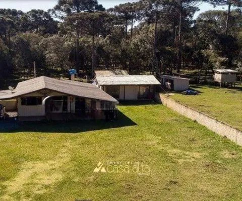 Chácara / sítio com 4 quartos à venda na Zona Rural, Araucária 