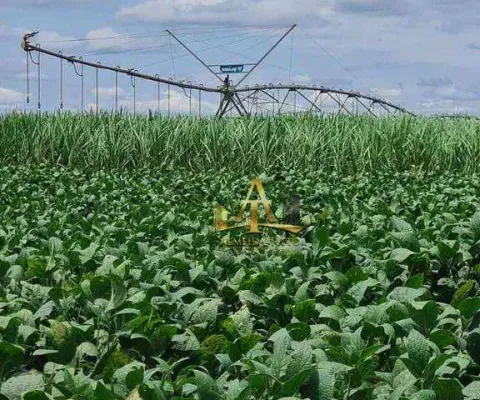 Fazenda à venda na região de presidente prudente/sp