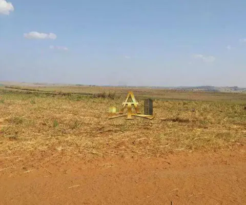 Fazenda  à venda  na região de presidente prudente/sp