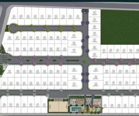 Terreno à venda, 256 m² por r$ 339.000,00 - espinheiros - joinville/sc