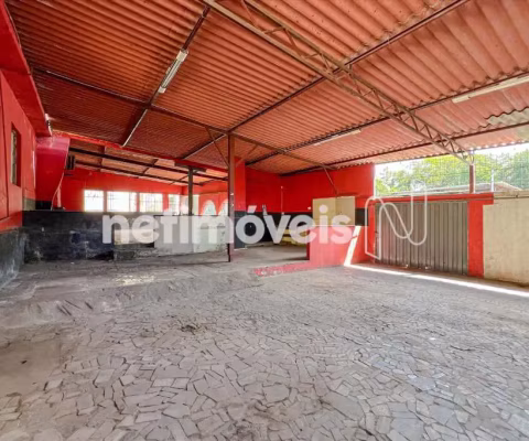 Locação Casa Sagrada Família Belo Horizonte
