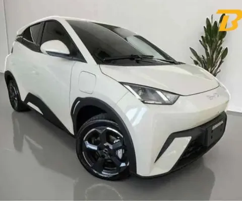 Byd Dolphin mini 2026 38 km elétrico 5l