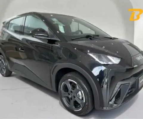 Byd Dolphin mini 2026 38 km elétrico 5l