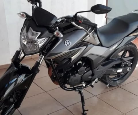 YAMAHA   YS 250 FAZER BLUEFLEX  Street