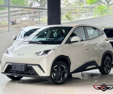 Byd Dolphin mini 2026 38 kw elétrico gs