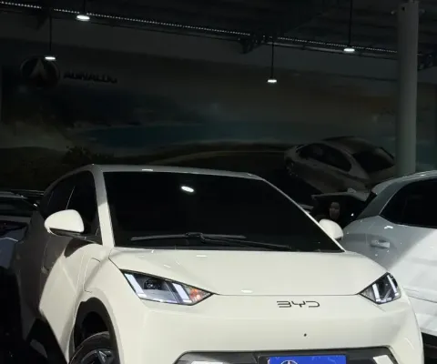 BYD Dolphin Mini 2026