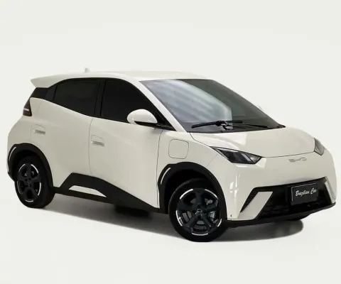BYD DOLPHIN Mini (Elétrico)