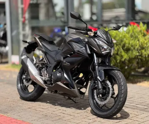 Kawasaki Z 300  - Cinza - 2015/2016