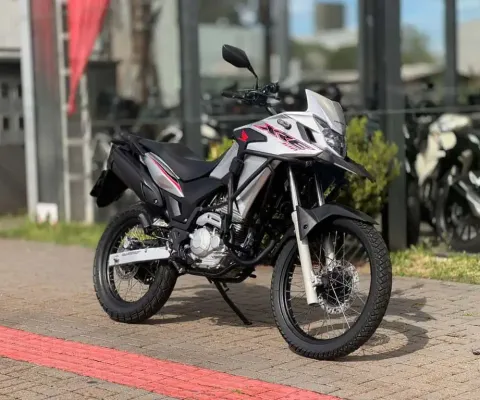 Honda XRE 300 RALLY FLEX - Prata - 2020/2020