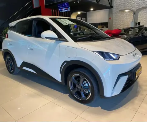 BYD DOLPHIN MINI 38 KW ELÉTRICO