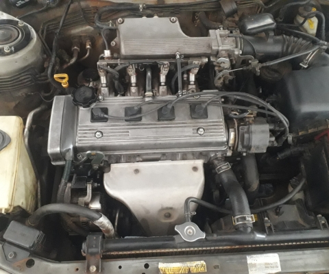 TOYOTA COROLLA à venda.