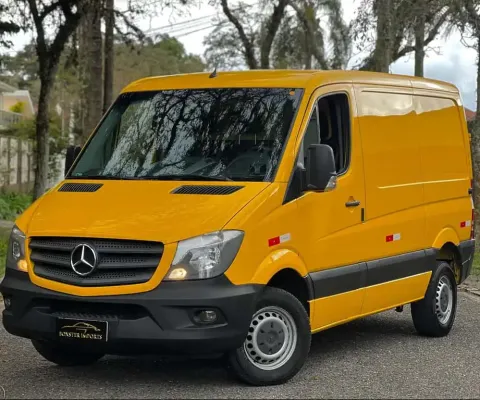 SPRINTER 313