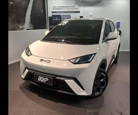 Byd dolphin mini 38 kw gs - 2025/2026