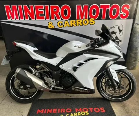 Kawasaki Ninja 300